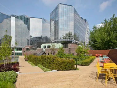 Een groen meesterwerk in het stedelijke hart van Utrecht: de rooftopgarden van Rabobank