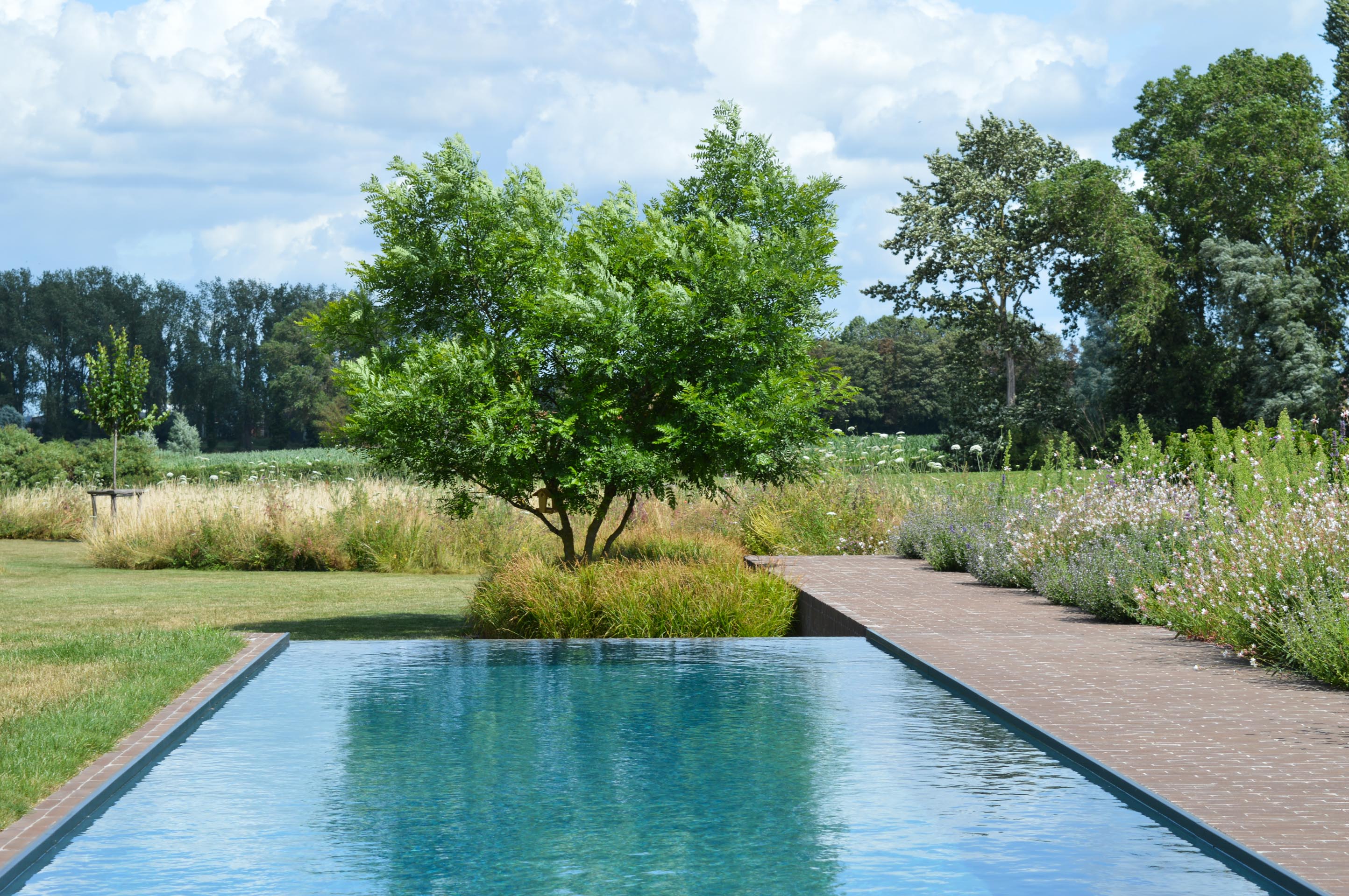 wychwood garden retreat