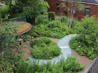 Een oase van herstel en veerkracht voor de tuin van een ziekenhuis