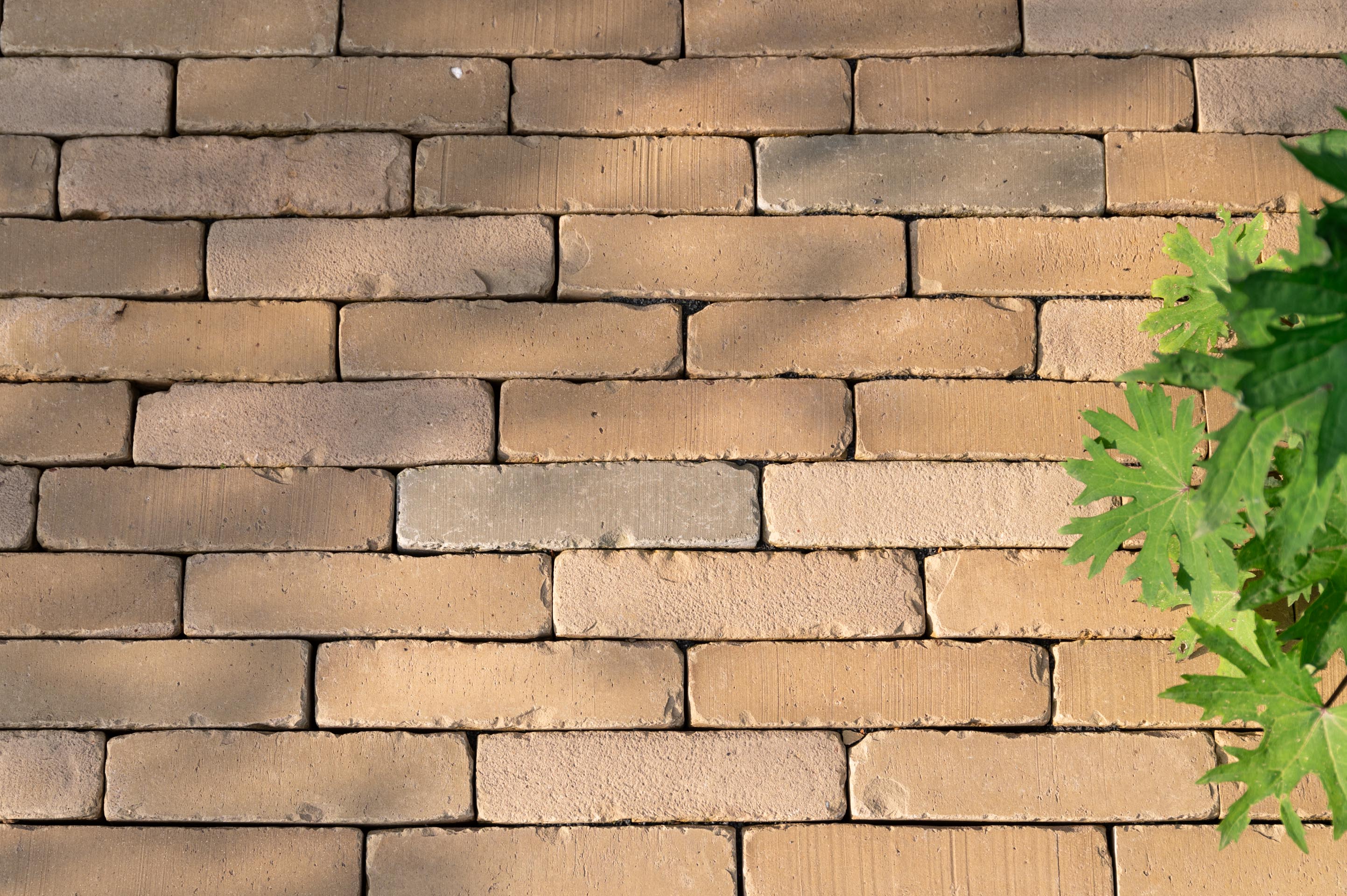 NIEUW: SeptimA Camargue: Geel-Grijze Mix met Groene Accenten.